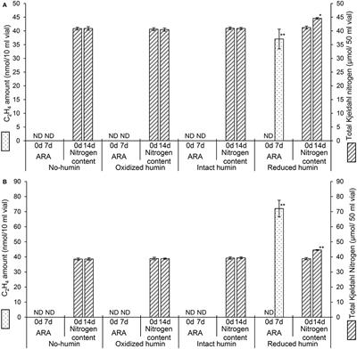 Promotion of Nitrogen Fixation of Diverse Heterotrophs by Solid-Phase Humin